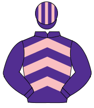PURPLE & PINK CHEVRONS, purple sleeves, striped cap                                                                                                   