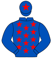 ROYAL BLUE, red stars, royal blue sleeves, red star on cap                                                                                            