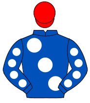 ROYAL BLUE, large white spots, white spots on sleeves, red cap                                                                                        