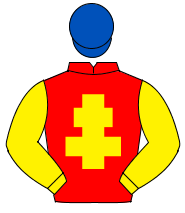 RED, yellow cross of lorraine & sleeves, royal blue cap                                                                                               