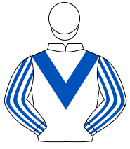 WHITE, royal blue chevron, striped sleeves, white cap                                                                                                 