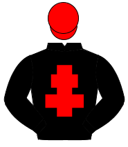 BLACK, red cross of lorraine, red cap                                                                                                                 