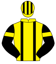 YELLOW, black braces, black sleeves, yellow armlet, yellow & black striped cap                                                                        
