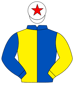 ROYAL BLUE & YELLOW HALVED, sleeves reversed, white cap, red star                                                                                     