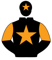 BLACK, orange star, halved sleeves, orange star on cap                                                                                                