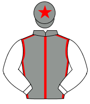 GREY, red seams, white sleeves, grey cap, red star