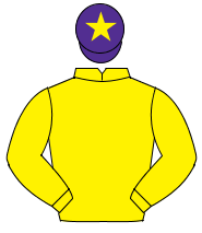 YELLOW, purple cap, yellow star                                                                                                                       