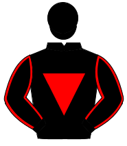 BLACK, red inverted triangle, red seams on sleeves, black cap                                                                                         