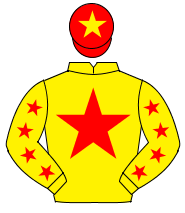 YELLOW, red star, red stars on sleeves, red cap, yellow star                                                                                          