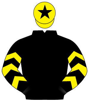 BLACK, yellow chevrons on sleeves, yellow cap, black star                                                                                             