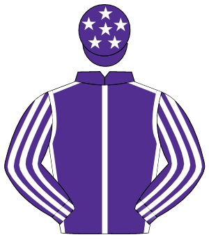 PURPLE, white seams, striped sleeves, purple cap, white stars                                                                                         