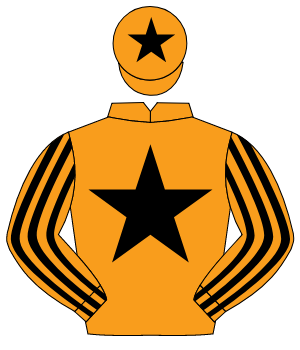 ORANGE, black star, striped sleeves, black star on cap                                                                                                