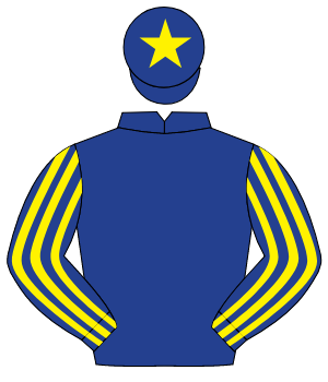 DARK BLUE, dark blue & yellow striped sleeves, yellow star on cap                                                                                     