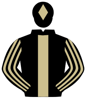 BLACK, beige panel, striped sleeves, beige diamond on cap                                                                                             