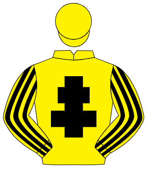 YELLOW, black cross of lorraine, striped sleeves, yellow cap