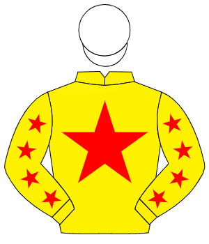 YELLOW, red star, red stars on sleeves, white cap                                                                                                     