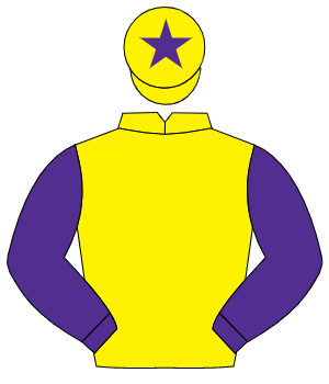 YELLOW, purple sleeves, yellow cap, purple star