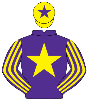 PURPLE, yellow star, striped sleeves, yellow cap, purple star