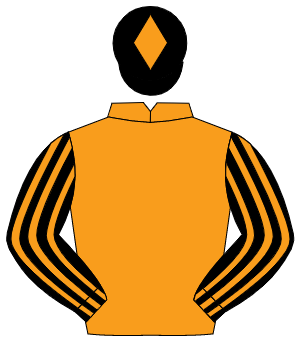 ORANGE, black & orange striped sleeves, black cap, orange diamond