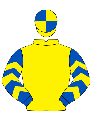 YELLOW, royal blue and yellow chevrons on sleeves, quartered cap