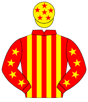 RED & YELLOW STRIPES, yellow stars on sleeves, yellow cap, red stars