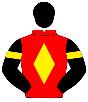 RED, yellow diamond, black sleeves, yellow armlet, black cap
