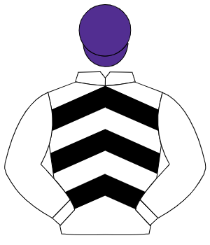 WHITE & BLACK CHEVRONS, white sleeves, purple cap