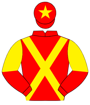 RED, yellow cross sashes, halved sleeves, yellow star on cap