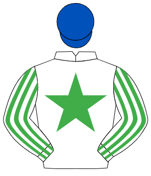 WHITE, emerald green star, striped sleeves, royal blue cap