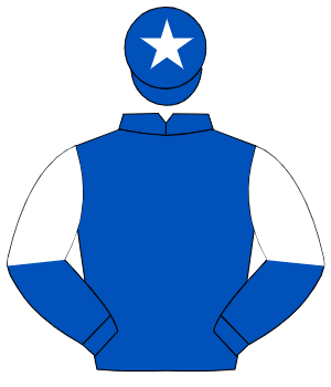 ROYAL BLUE, white halved sleeves, white star on cap