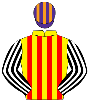 YELLOW & RED STRIPES, black & white striped sleeves, purple & orange striped cap