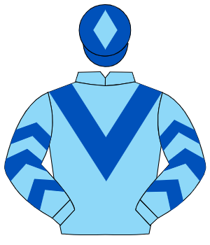 LIGHT BLUE, royal blue chevron, royal blue chevrons on sleeves, royal blue cap, light blue diamond