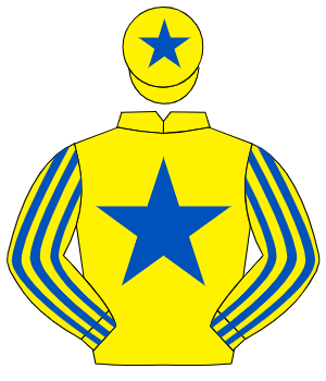 YELLOW, royal blue star, striped sleeves, royal blue star on cap