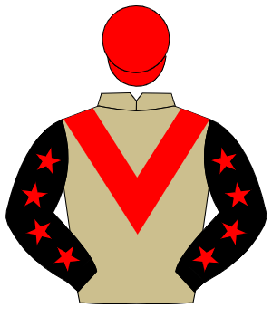 BEIGE, red chevron, black sleeves, red stars, red cap