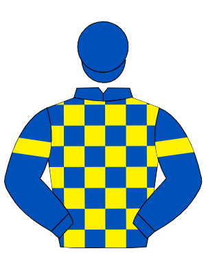 ROYAL BLUE & YELLOW CHECK, royal blue sleeves, yellow armlets, royal blue cap