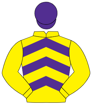 YELLOW & PURPLE CHEVRONS, yellow sleeves, purple cap
