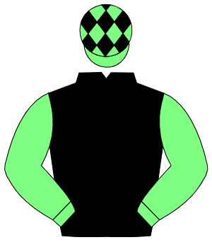BLACK, light green sleeves, light green cap, black diamonds