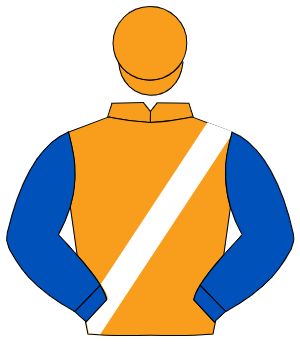 ORANGE, white sash, royal blue sleeves, orange cap