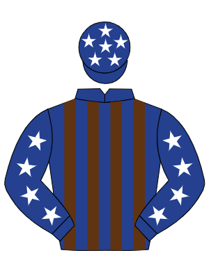 DARK BLUE & BROWN STRIPES, dark blue sleeves, white stars, dark blue cap, white stars
