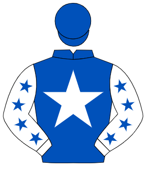 ROYAL BLUE, white star, white sleeves, royal blue stars, royal blue cap
