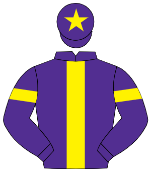 PURPLE, yellow panel, yellow armlet, yellow star on cap
