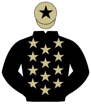BLACK, beige stars, black sleeves, beige cap, black star