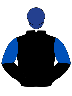BLACK, royal blue halved sleeves, dark blue cap