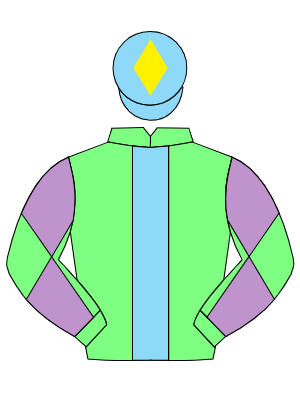 LIGHT GREEN, light blue panel, light green sleeves, mauve diabolo, light blue cap, yellow diamond