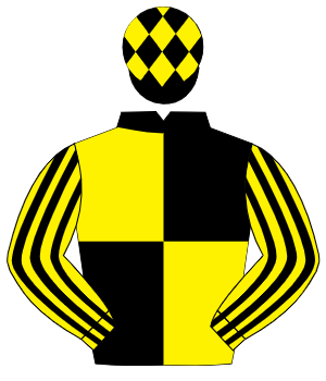 BLACK & YELLOW QUARTERED, yellow & black striped sleeves, black cap, yellow diamonds