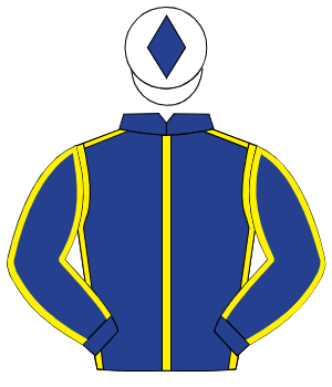 DARK BLUE, yellow seams, white cap, dark blue diamond