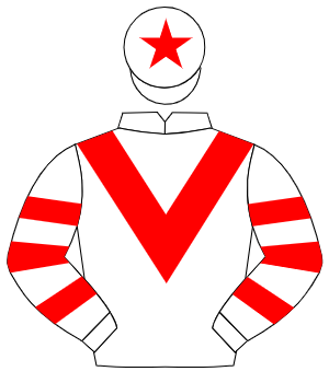 WHITE, red chevron, hooped sleeves, red star on cap