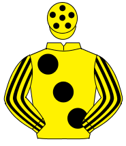 YELLOW, large black spots, striped sleeves, yellow cap, black spots                                                                                   