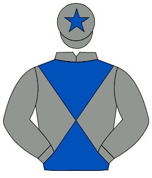 GREY & ROYAL BLUE DIABOLO, grey sleeves, grey cap, royal blue star                                                                                    