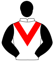 WHITE, red chevron, black sleeves & cap                                                                                                               